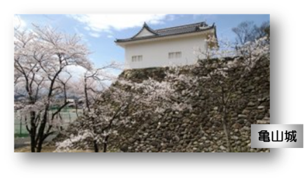 FEB18DBB9542454D9A3BEF30416EB179.png